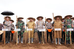 Pj Gubernur Kalbar Harisson: Gerakan Penanaman Jagung Serentak Dorong Ketahanan Pangan Nasional