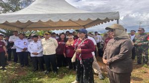 Wakil Menteri Pendidikan Tinggi, Sains, dan Teknologi (Wamendiktisaintek), Stella Christie saat meninjau calon lokasi Sekolah Garuda di Dusun Monton Desa Antibar, Kabupaten Mempawah, Kalbar/Dok. Istimewa