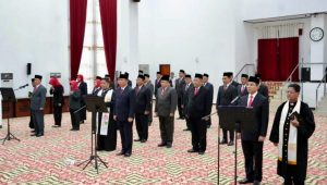 WhatsApp Image 2025-12-15 at 23.55.18