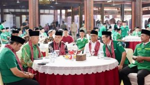 WhatsApp Image 2025-12-16 at 00.13.01