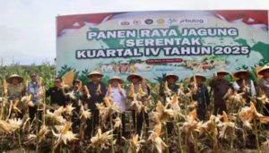 WhatsApp Image 2026-01-22 at 15.58.44