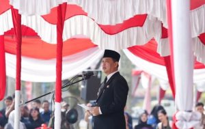 WhatsApp Image 2026-03-09 at 02.51.48