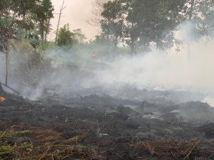 WhatsApp Image 2026-03-28 at 16.33.47