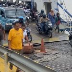 WhatsApp Image 2026-04-01 at 18.59.56